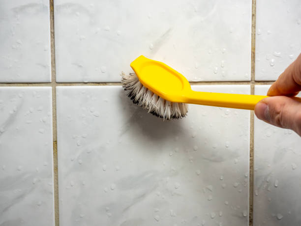 Best Mold Removal Process  in Fivepointville, PA