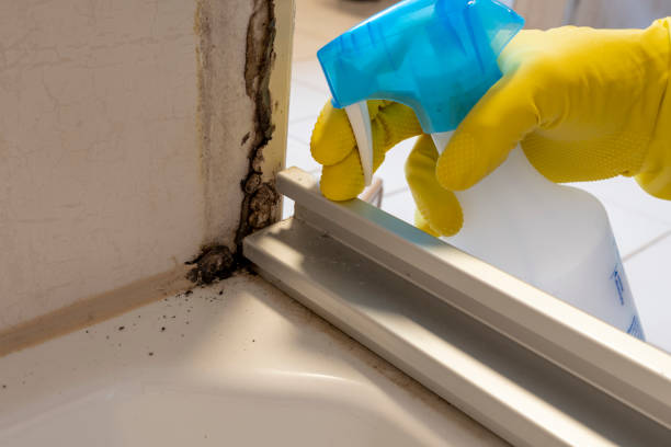Best Mold Testing  in Fivepointville, PA