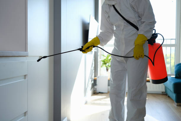 Best Mold Damage Repair  in Fivepointville, PA