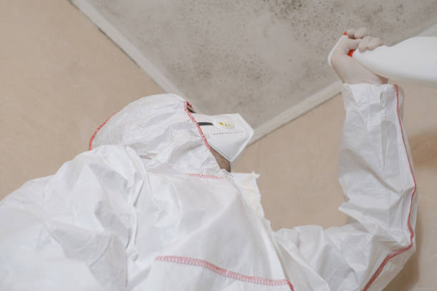 Best Residential Mold Removal  in Fivepointville, PA