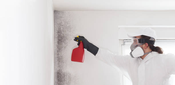 Best Residential Mold Removal  in Fivepointville, PA